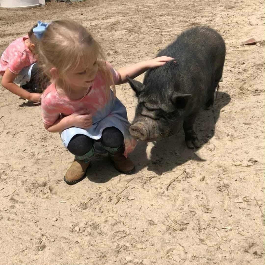 A young girl is kneeling on the sandy ground, petting a small pig. She is wearing a pink tie-dye shirt, black leggings, and tan boots. Another girl is behind her, also touching the pig.